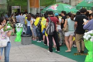 王心凌、言承旭、宋祖英、周杰倫、粱靜茹演唱會